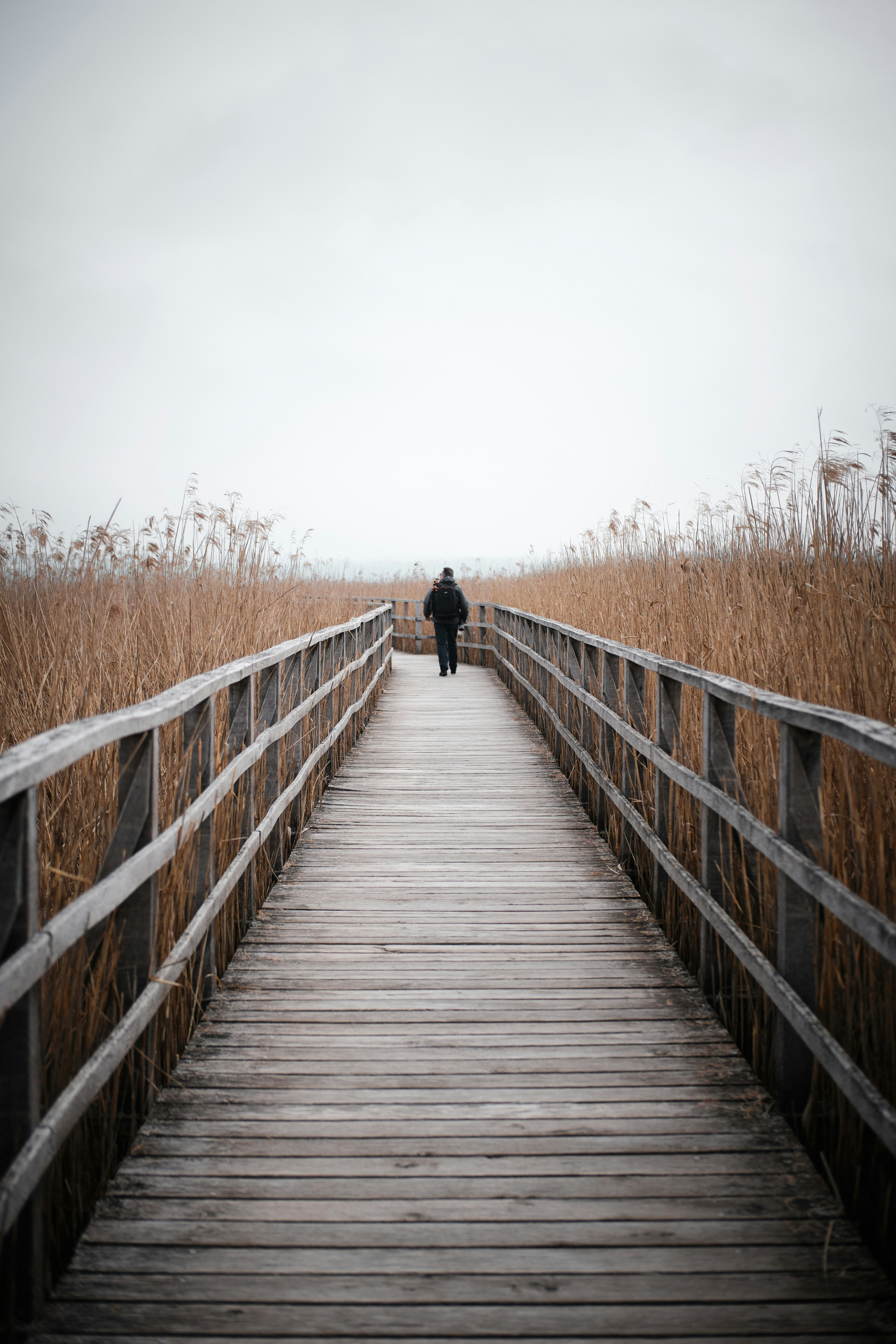 person walking on wooden bridge during daytime